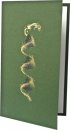 Karácsonyi képeslap - 95x160 mm - oldalra nyitható - zöld dombornyomással, aranyozott  - betétlapos